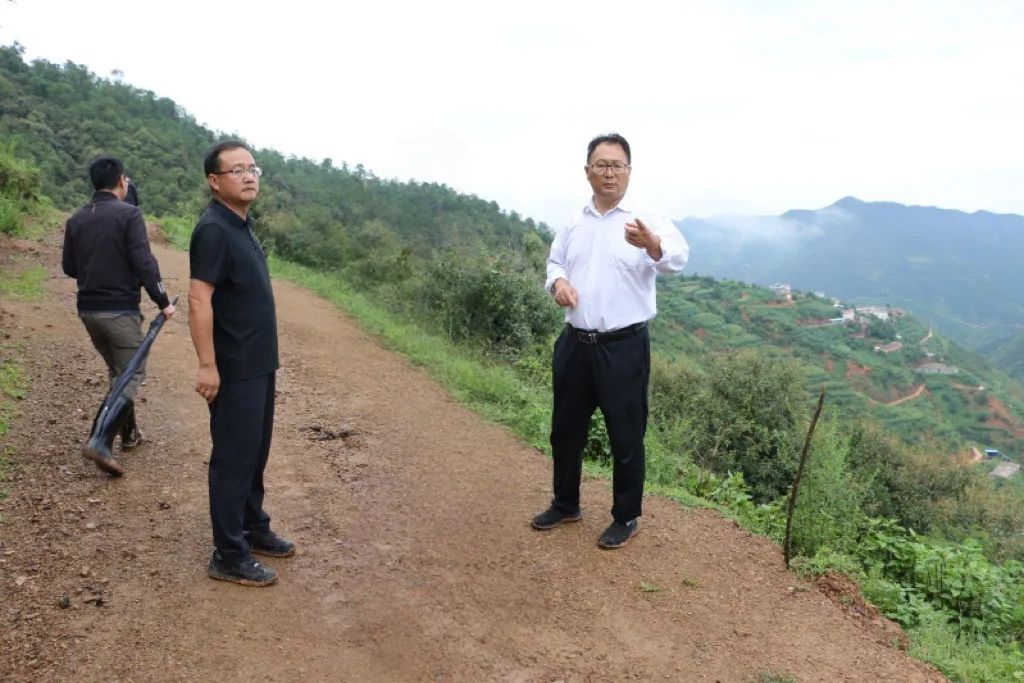王丽平到桂花镇、龙街镇、金碧镇调研督导