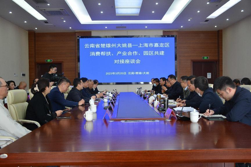 上海市嘉定区人民政府合作交流办公室带领上海有关企业赴大姚县调研对接工作