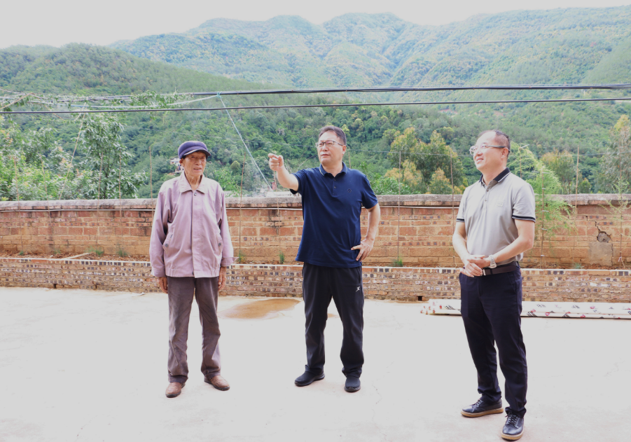 王丽平在六苴镇调研强调：以“时时放心不下”的责任感 坚决守牢安全发展底线