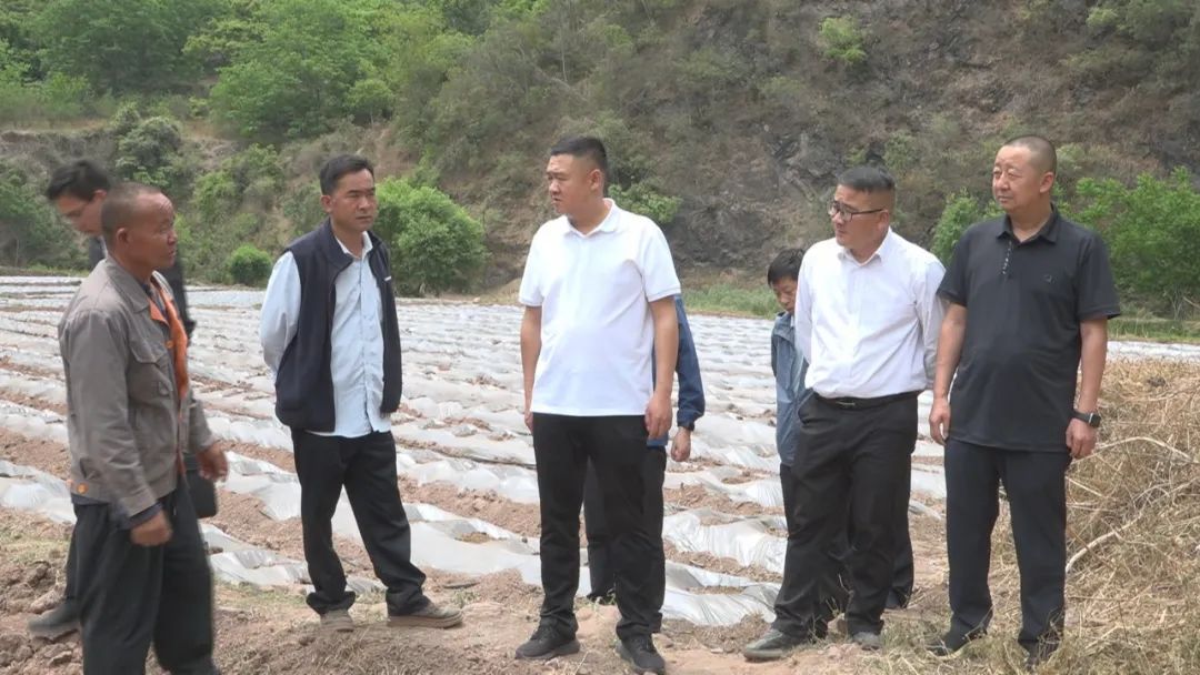 杨军到石羊镇、三岔河镇调研