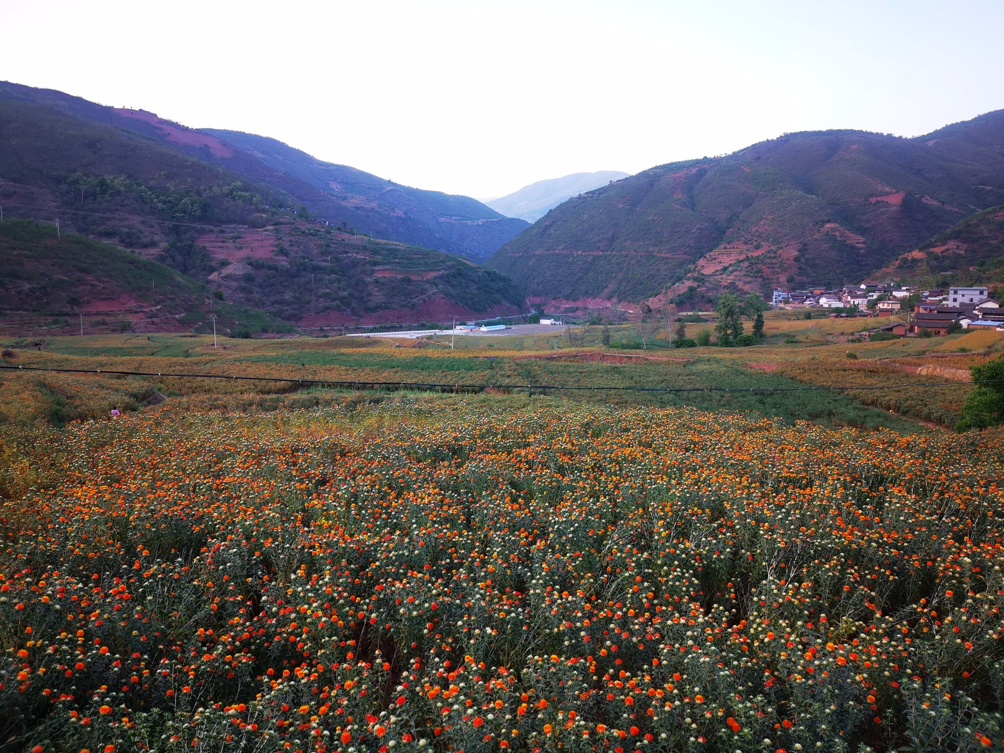 三岔河镇：落实管护制度，让高寒山区群众有了安全饮水