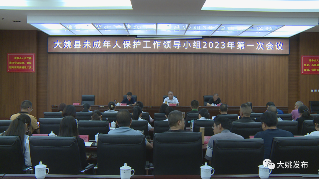 【未成年人保护】我县召开2023年第一次未成年人保护工作领导小组会议