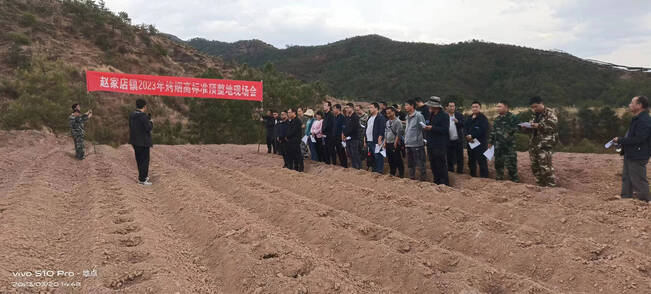 复制图片 复制图片