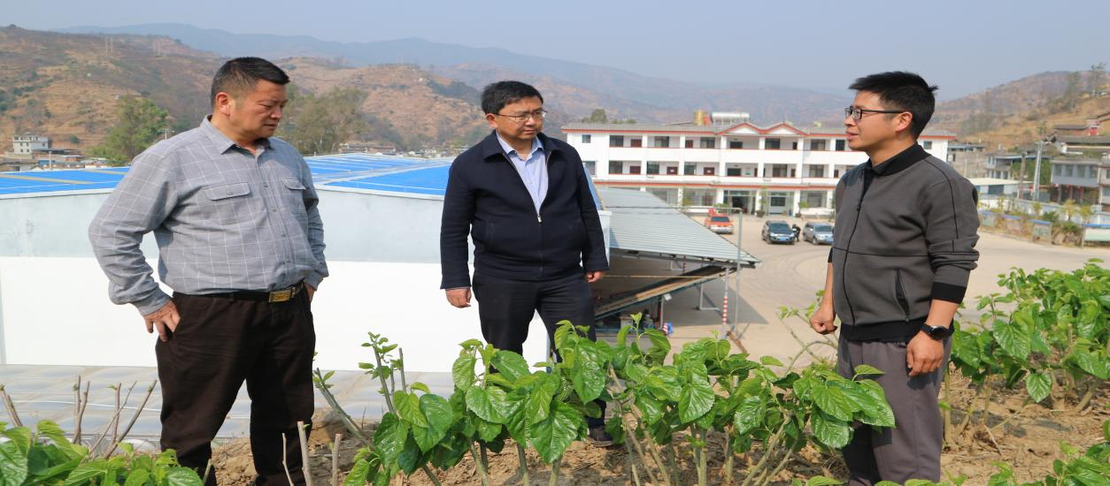 复制图片 复制图片