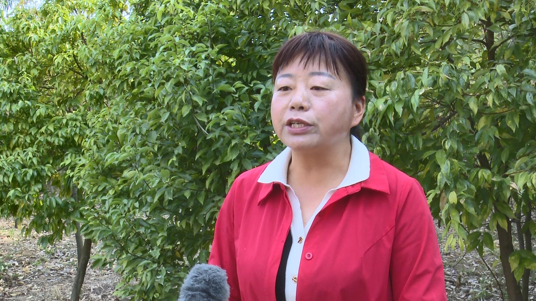 赵红.jpg 赵红.jpg