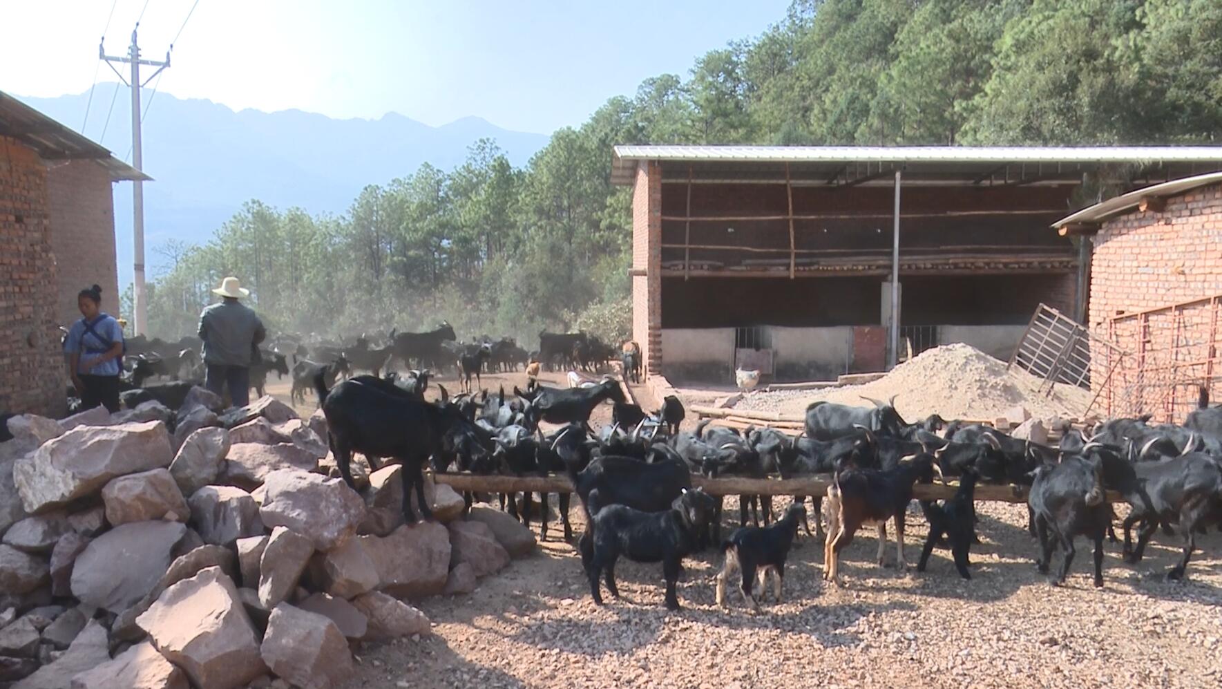 QQ截图20230322160912.jpg QQ截图20230322160912.jpg