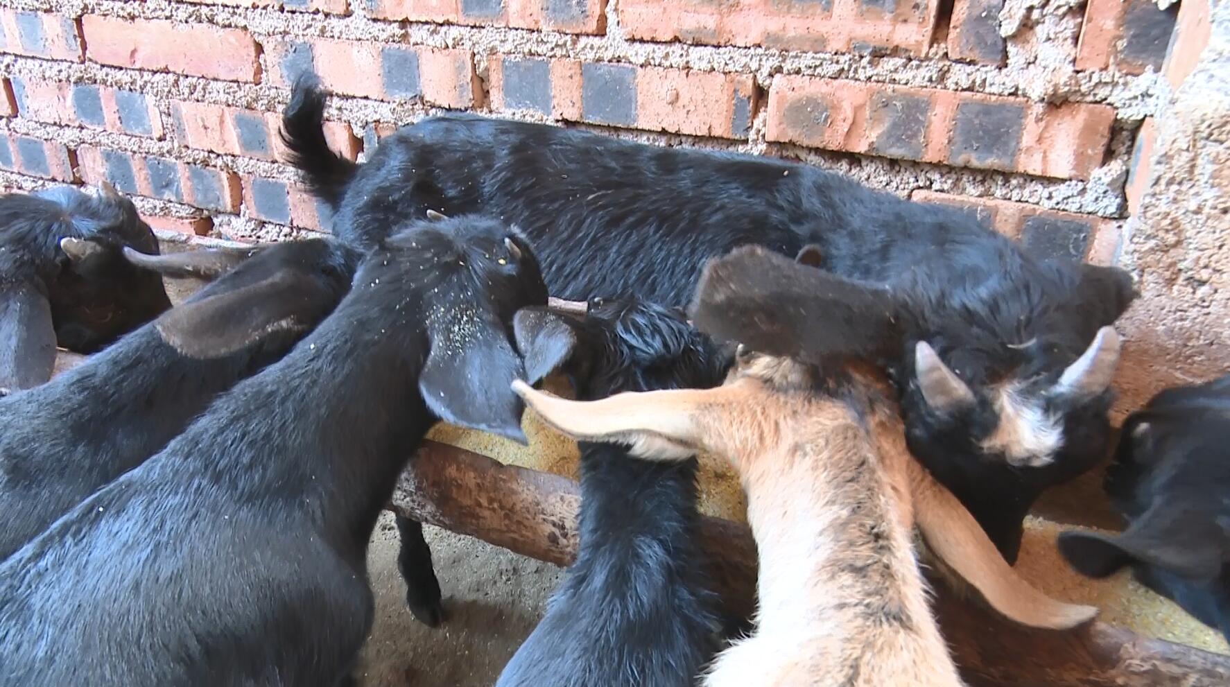 QQ截图20230322160649.jpg QQ截图20230322160649.jpg