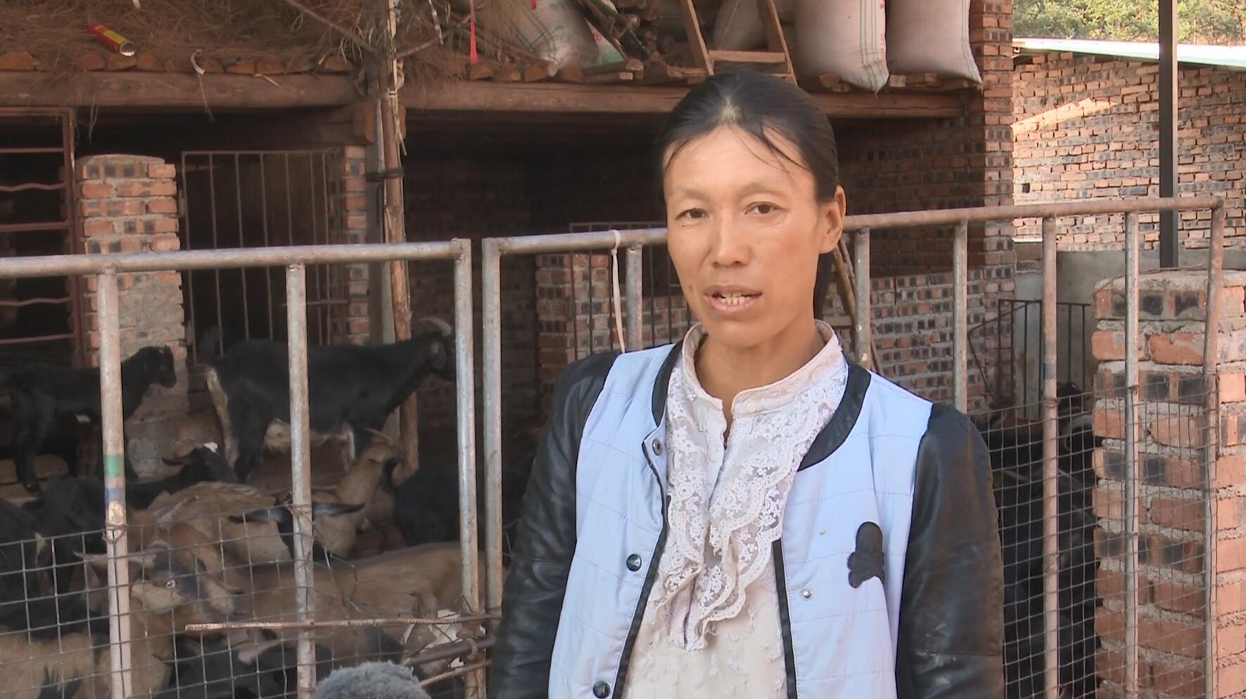 QQ截图20230322160737.jpg QQ截图20230322160737.jpg