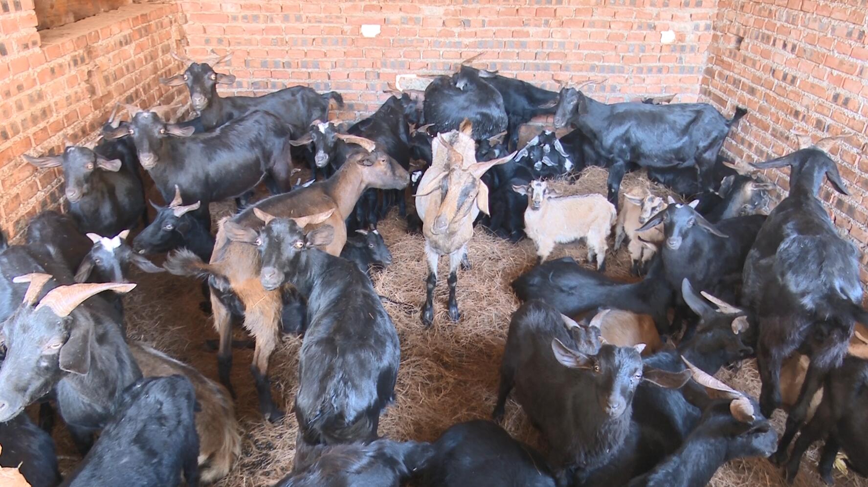 QQ截图20230322160951.jpg QQ截图20230322160951.jpg