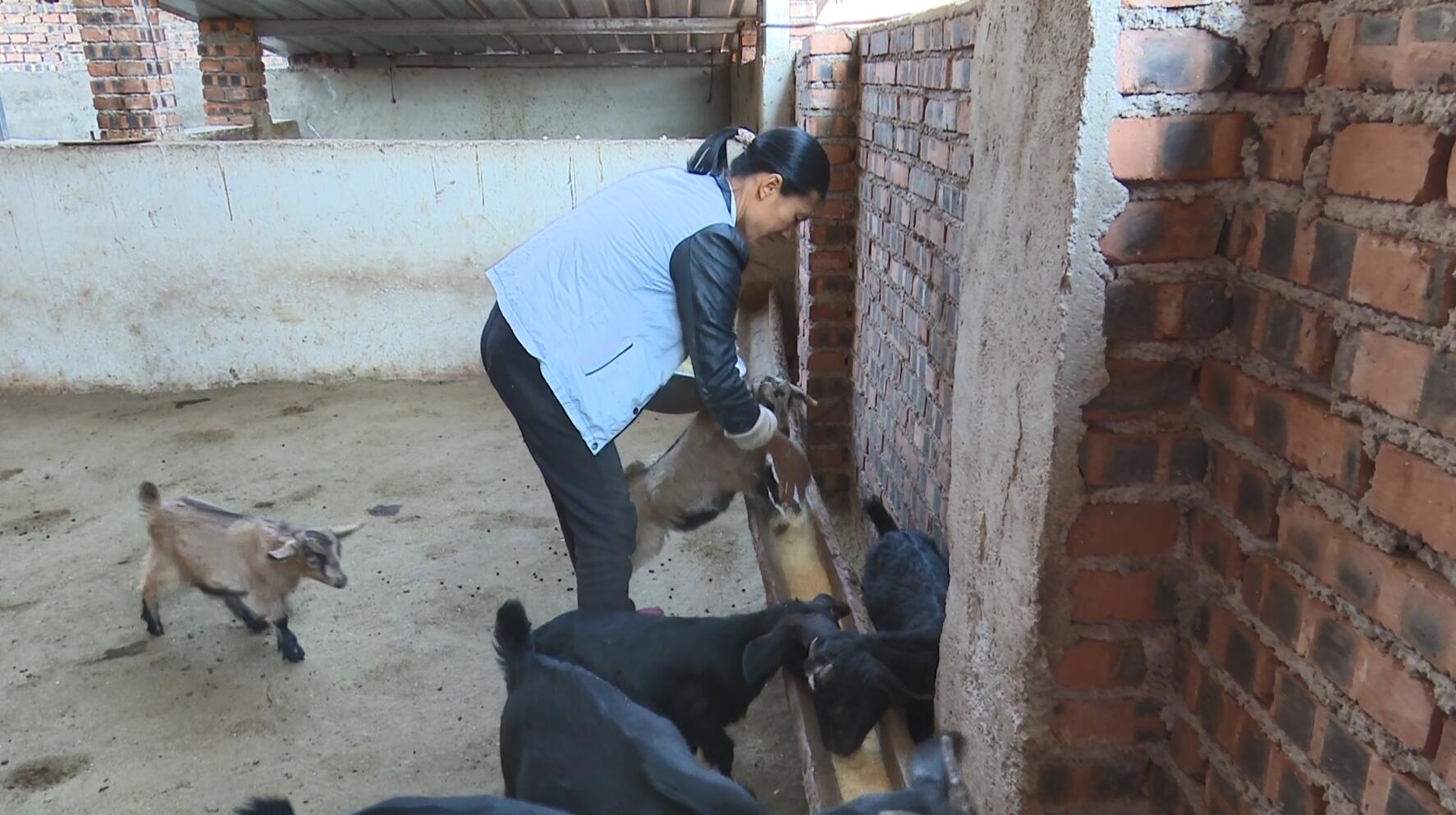 QQ截图20230322160633.jpg QQ截图20230322160633.jpg