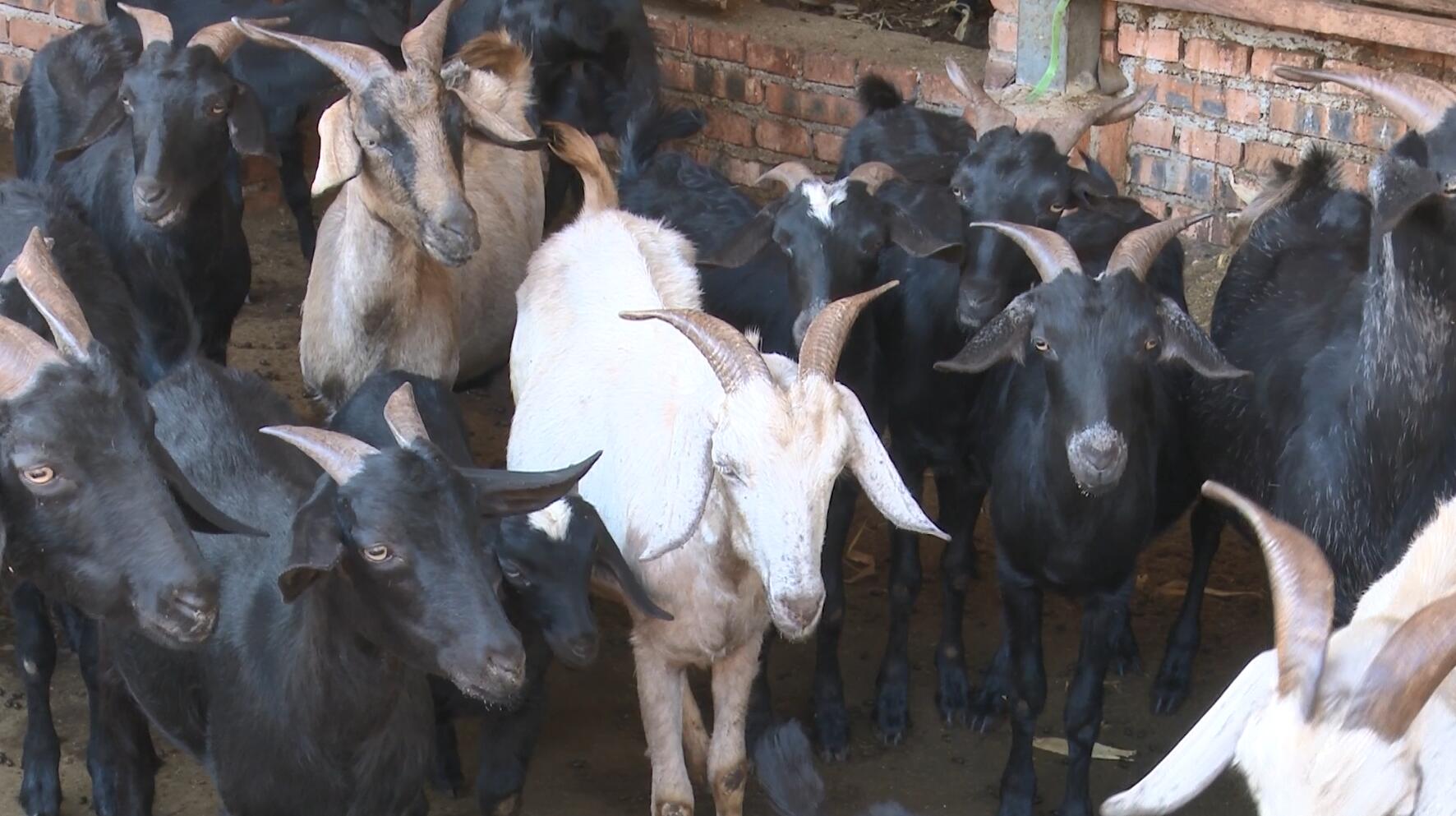 QQ截图20230322160719.jpg QQ截图20230322160719.jpg