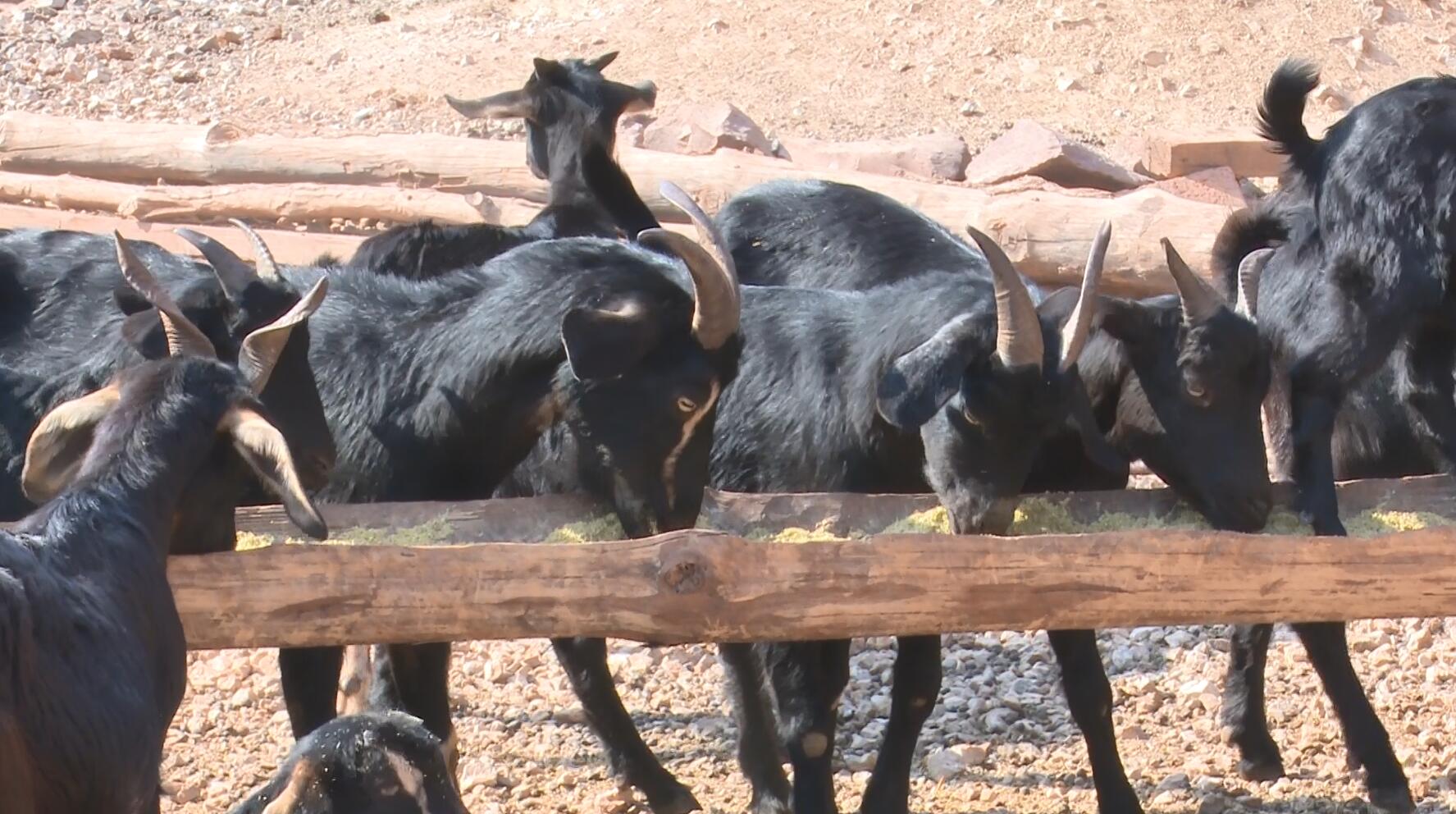 QQ截图20230322160857.jpg QQ截图20230322160857.jpg