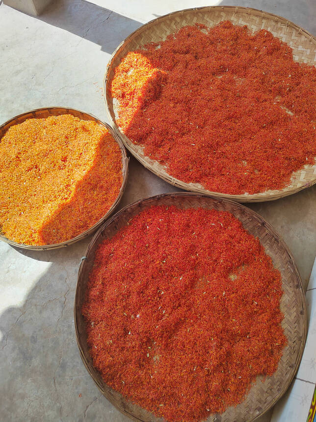 图片6.png 图片6.png